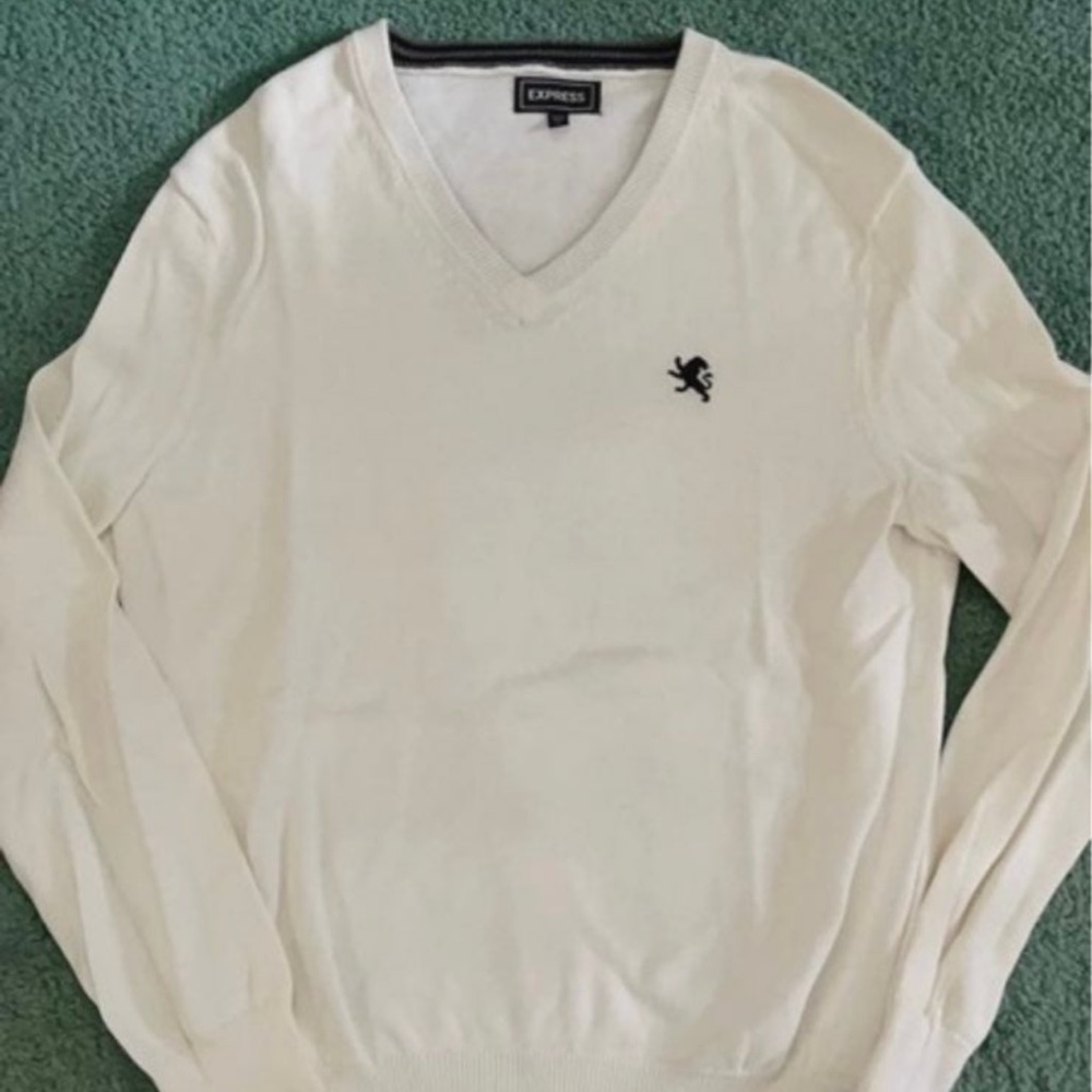 Express V Neck Sweater